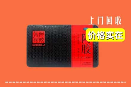 酒泉阿克塞县回收阿胶