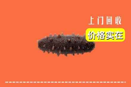 酒泉阿克塞县回收海参